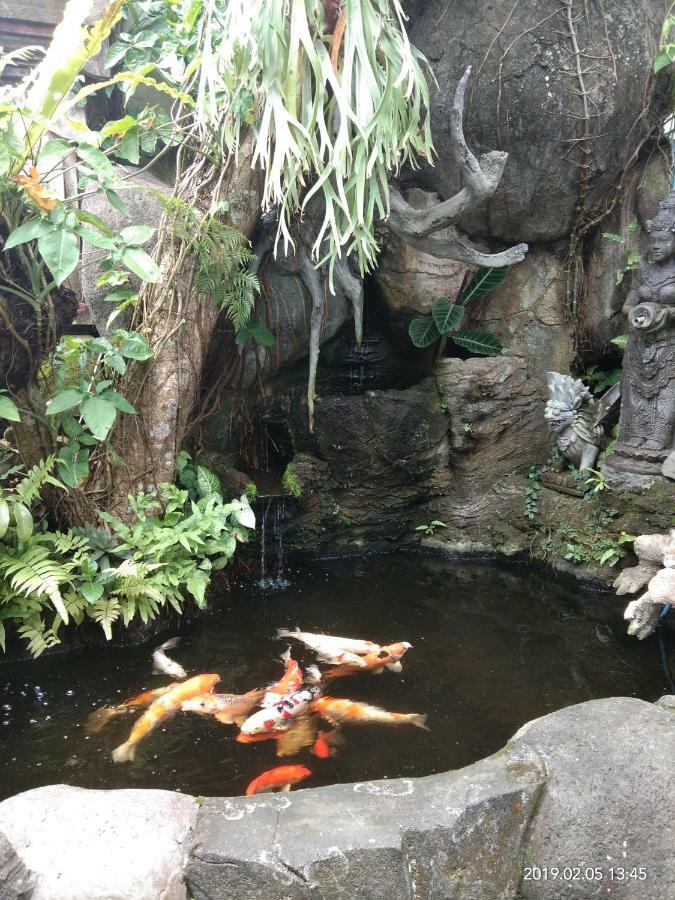 Dewi Antara Homestay Ubud Exteriör bild