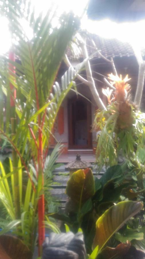 Dewi Antara Homestay Ubud Exteriör bild